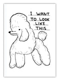 David Shrigley A6 Notebook - Look Like This