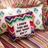 But What Am I Needlepoint Pillow
