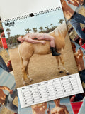 Red Hot Roadtrip 2026 Calendar