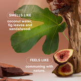 WOODPHORIA Fragrance by Boy Smells