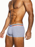 BIKE Stretch Cotton Trunk - Grey
