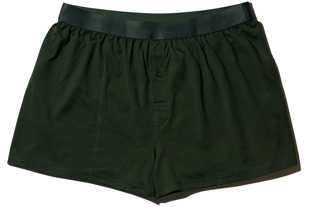 Boxer Shorts in Army Green by CDLP