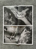 ZIMMER MAN POSTER ZINE BY DAVID ZIMMERMAN