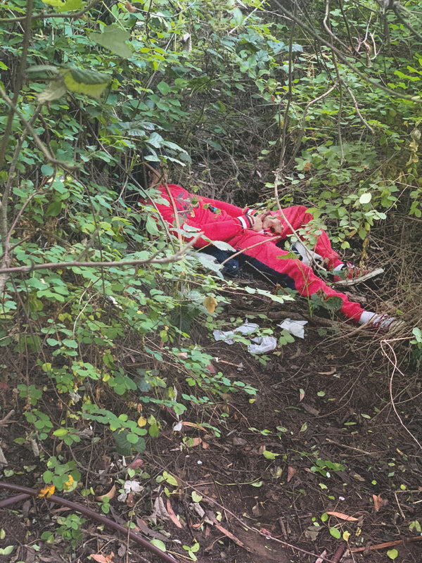 Daniel Case, Red Bushed, 2014