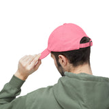 FISTEE IN TRAINING Distressed Cap in 6 colors