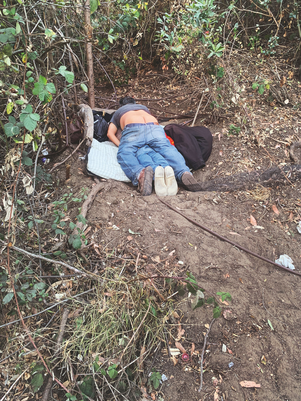 Daniel Case, Blue Pressure, 2014