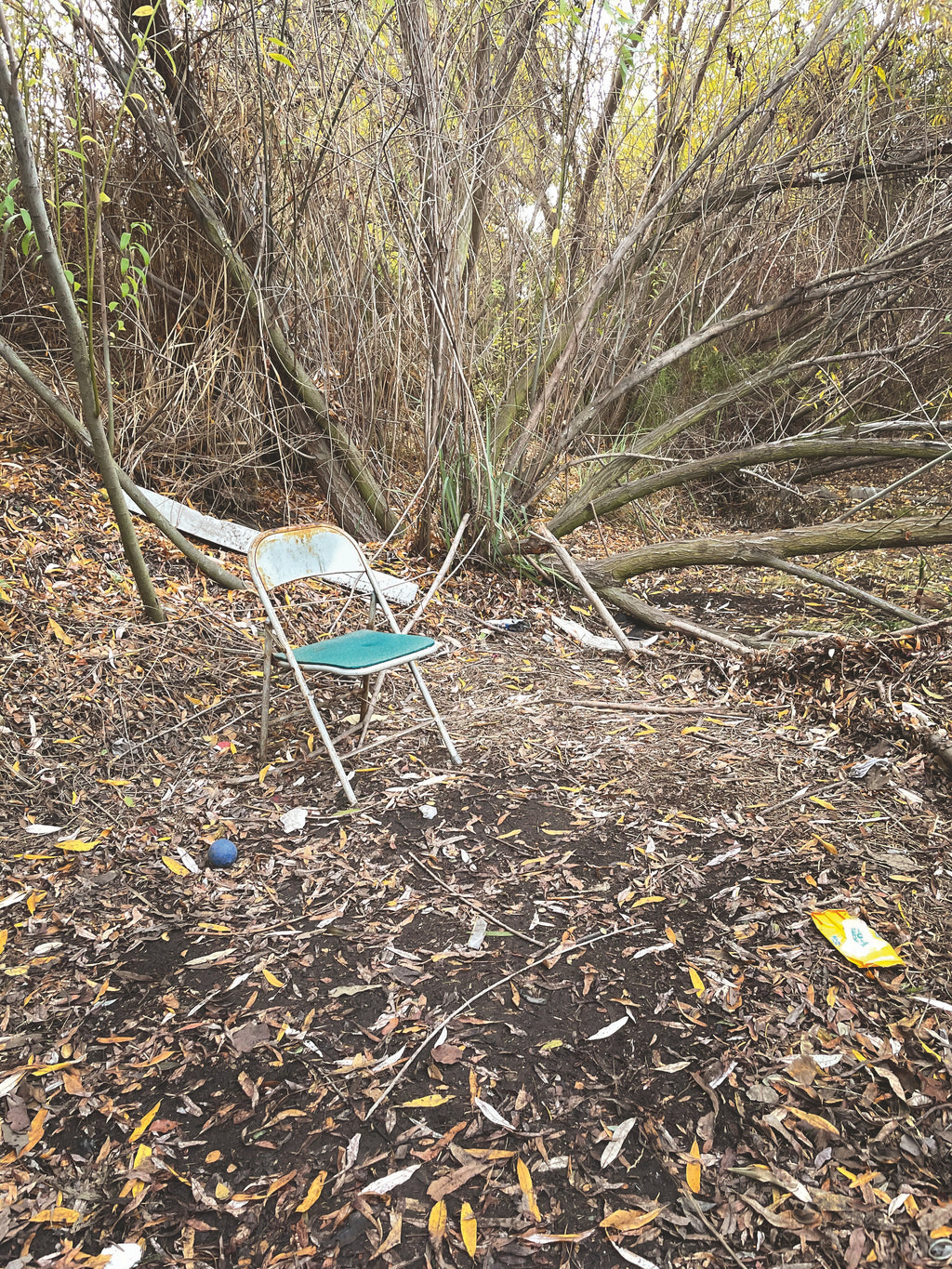 Daniel Case, Jam Chair, 2014