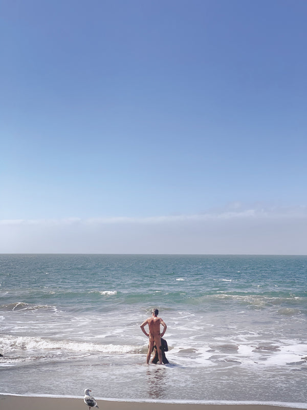 Daniel Case, Bird Watch, 2014