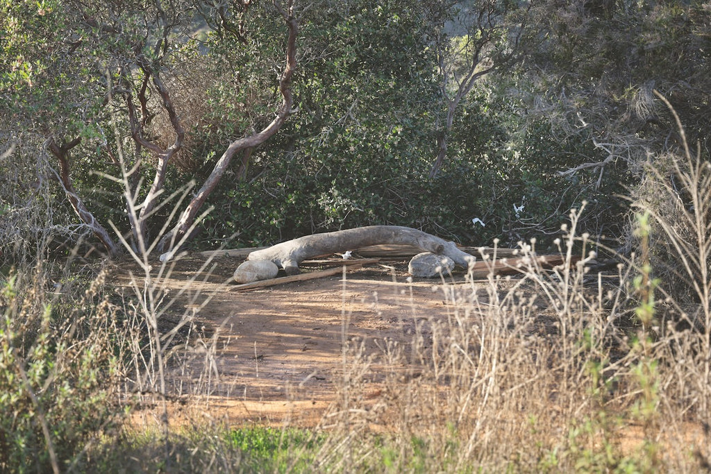 Daniel Case, Meeting Log, 2014