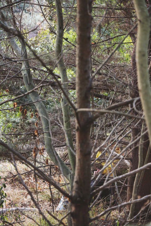 Daniel Case, Yellow Grab, 2014