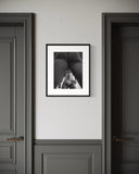 David Zimmerman, Double Trouble, 2025