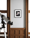 David Paull, The Tustle, 2022