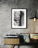 Velvet D'AMOUR, Espiguette, 1990