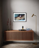 Velvet D'AMOUR, Merry Merry, 2025