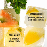CITRUSH SNIFFER by boy smells
