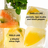 CITRUSH Fragrance by Boy Smells