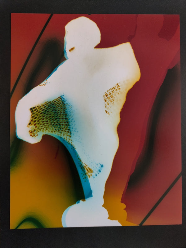 Orson Panetti, Transfiguration No.4, 2008