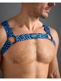 TEAMM8 Impact Harness - Alpha Blue