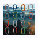 Carabiner Crush By Oliver Payne - Sheet of 16 Stickers