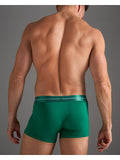 TEAMM8 Icon Trunk - Forest Green