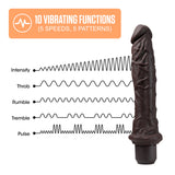Dr. Skin Silicone Dr. Richard Brown 9.75-Inch Long Vibrating Dildo
