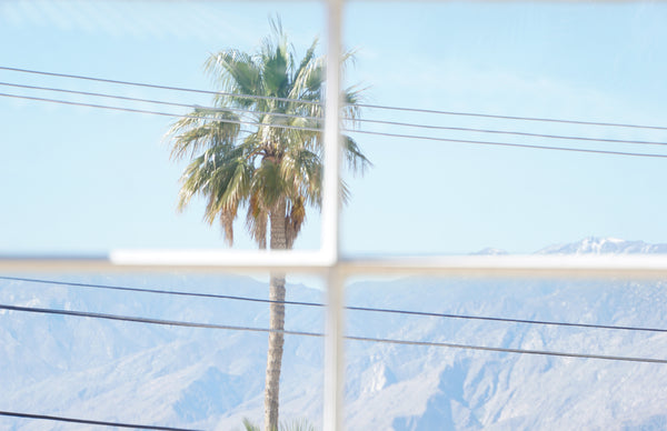 Gabriel Yuri, Palm / Grid, 2023