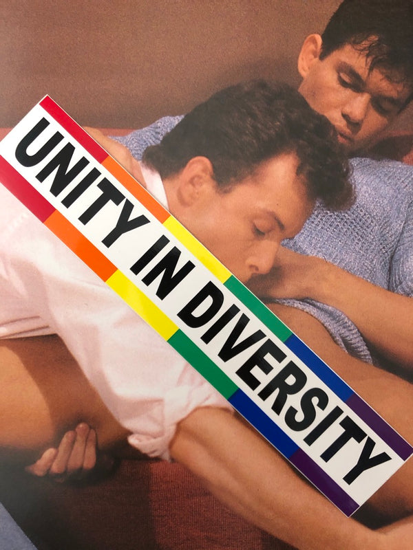 UNITY IN DIVERSITY VINTAGE BUMBER STICKER