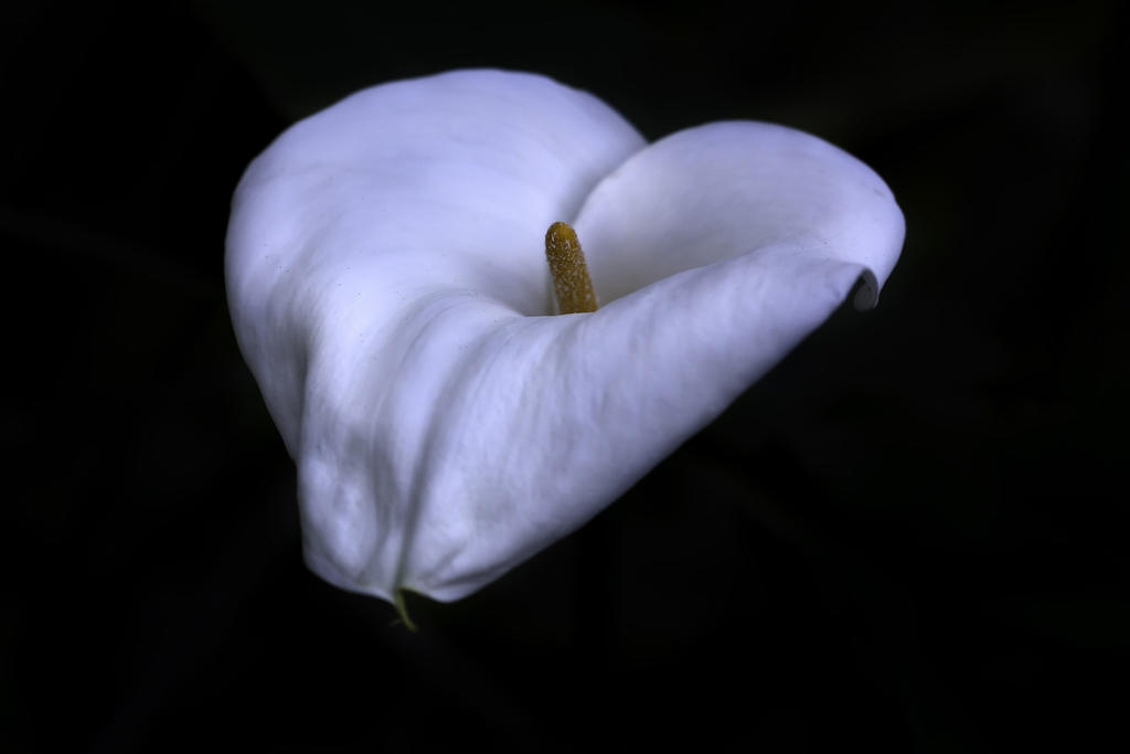 EY128