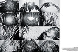 Silvia Prada: The New Modern Hair Exhibition Catalogue