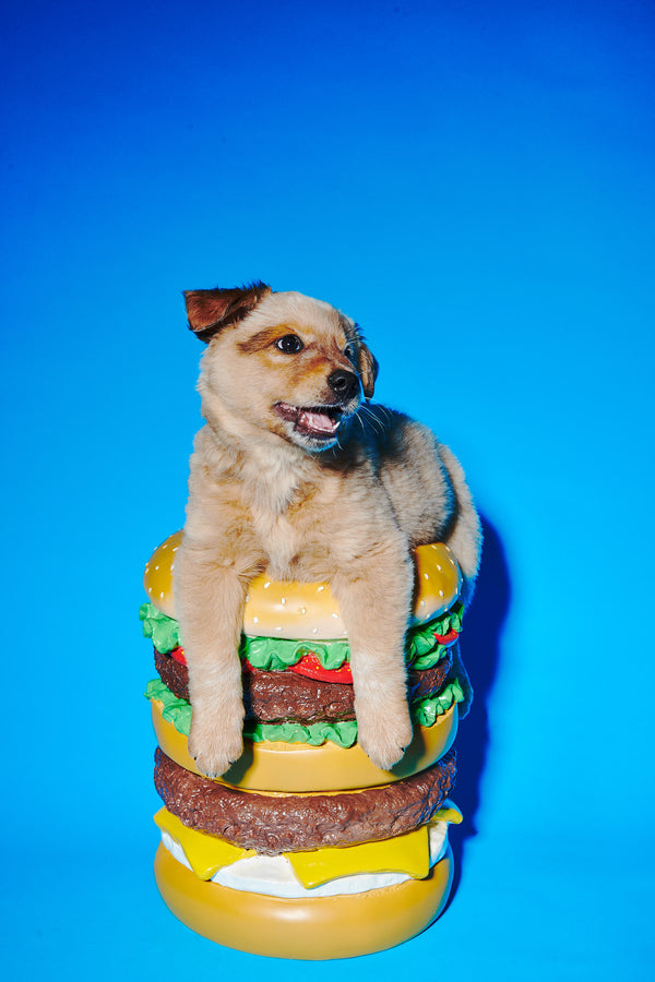 Giant Hamburger Stool by Third Drawer Down