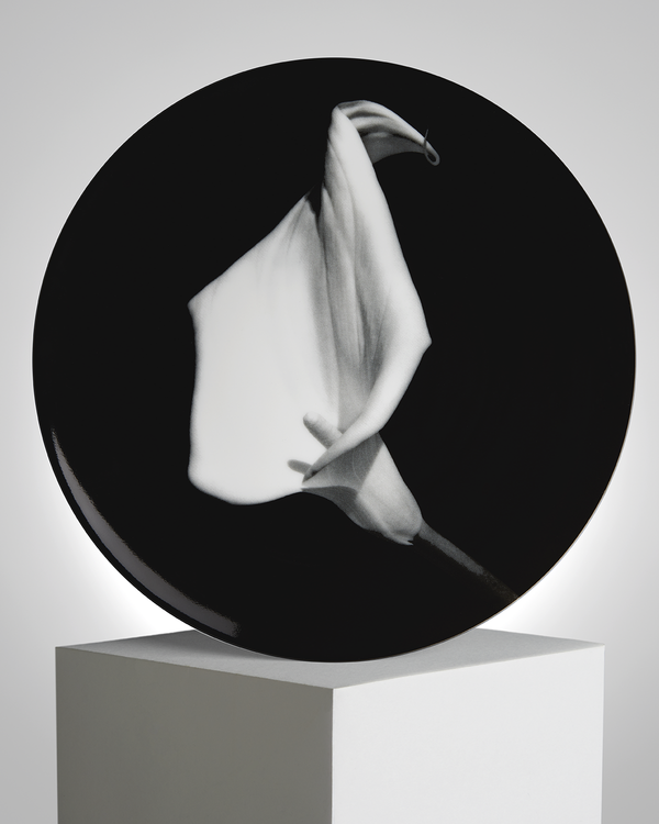 ROBERT MAPPLETHORPE "Small Calla Lily" PLATE