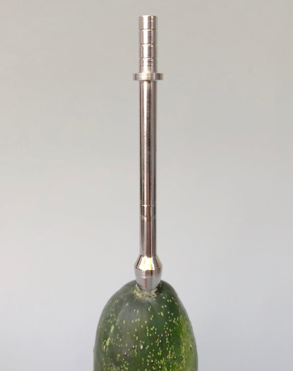 Lancia Stainless Steel Shaft Urethra Sound