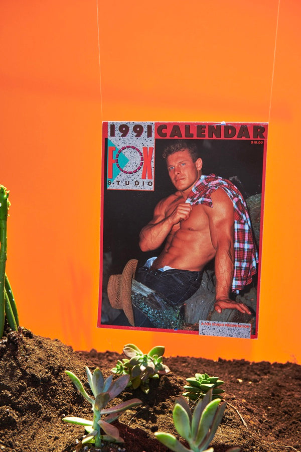 Vintage Fox Studio 1991 Wall Calendar