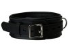 Premium Locking Collar by Strict Leather