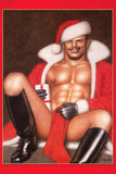 Tom of Finland SANTA'S PACKAGE Holiday Card by Kweer Cards