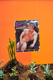 Vintage Fox Studio 1996 Wall Calendar